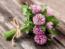 Floralni talismani