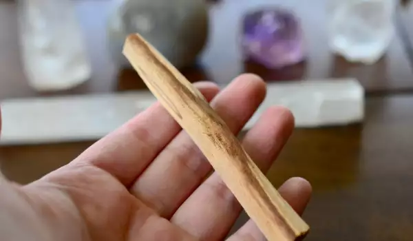 Palo Santo